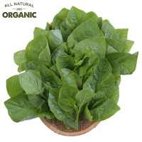 Mồng Tơi Hữu Cơ Hitech 300G