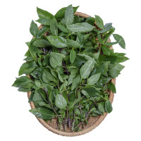 Rau Húng Quế Cao Nguyên 100G