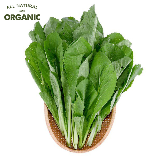 Cải Xanh Hữu Cơ Hitech 300G