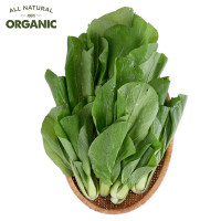 Cải Thìa Organic Food King 300G