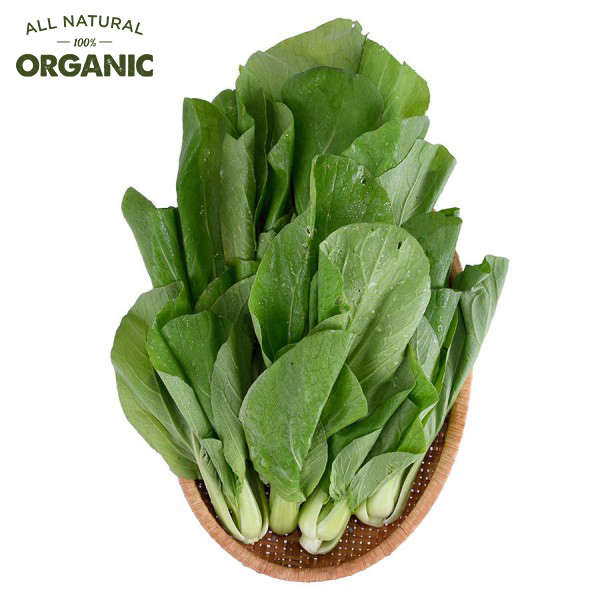 Cải Thìa Organic Food King 300G