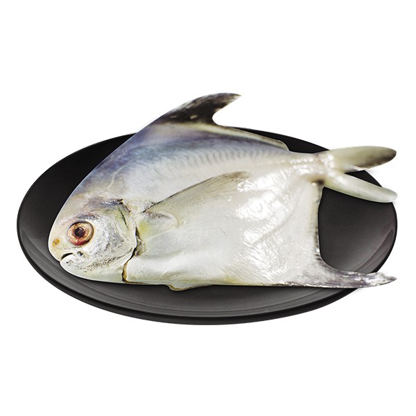 Cá Chim Trắng Nguyên Con Không Làm Sẵn (Kg)