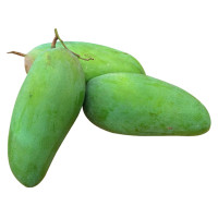 Xoài Dài Giống Đài Loan (Kg)