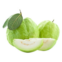 Ổi Giống Đài Loan (Kg) ~0.3Kg/Trái