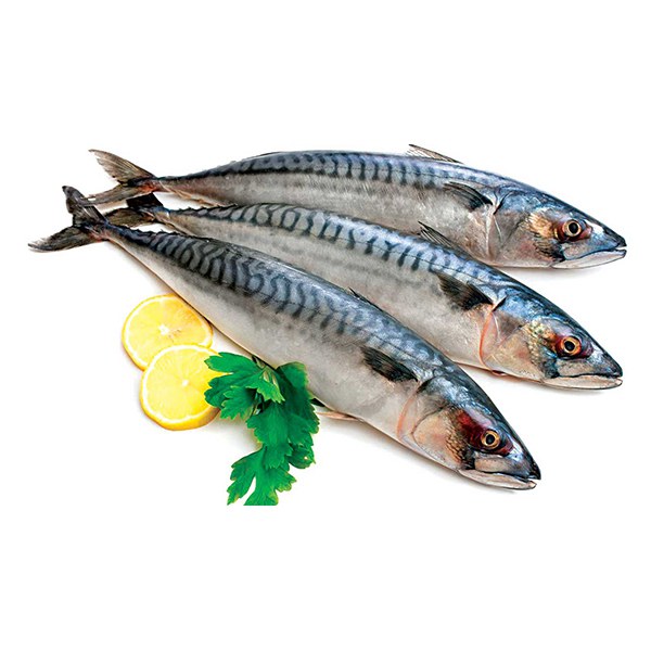Cá Saba Jumbo Na Uy Nguyên Con Không Làm Sẵn (Kg) ~600G/Con 