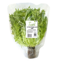 Xà Lách Frisee Xanh Ngọt DHF 190G