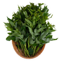 Đọt Rau Lang Organic Vinamit 300G