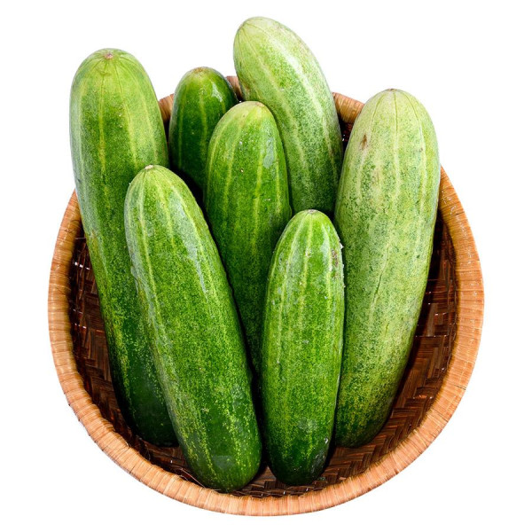 Dưa Leo Organic Vinamit 300G