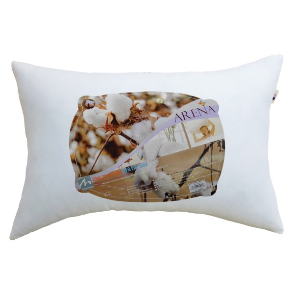 Ruột Gối 50*70Cm