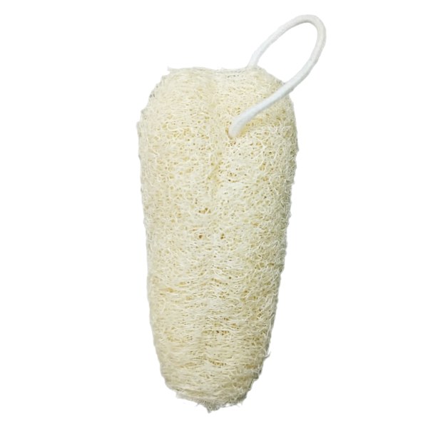 Miếng Rửa Chén Xơ Mướp Silva 12Cm