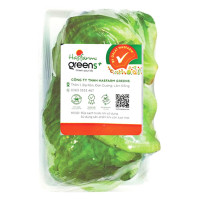 Xà Lách Iceberg Hasfarm Green+ 500G