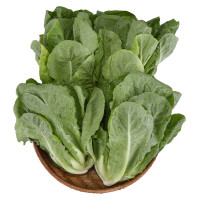 Xà Lách Romaine Hasfarm Green+ 300G