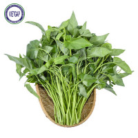 Rau Muống Nước 500G