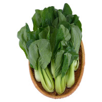 Cải Thìa VietGAP Phú Lộc 500G