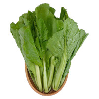 Cải Xanh VietGAP Phú Lộc Gói 500G