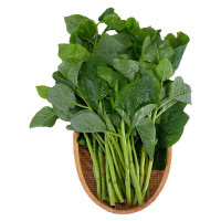 Mồng Tơi VietGAP Phú Lộc 500G 