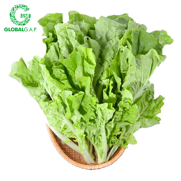 Cải Dún Baby DALATGAP 350G