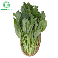 Cải Ngồng Baby DALATGAP 350G