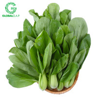 Cải Thìa Baby DALATGAP 350G