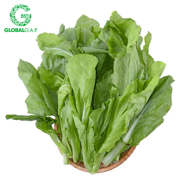 Cải Xanh DALATGAP 350G