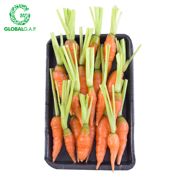 Cà Rốt Baby DALATGAP 200G