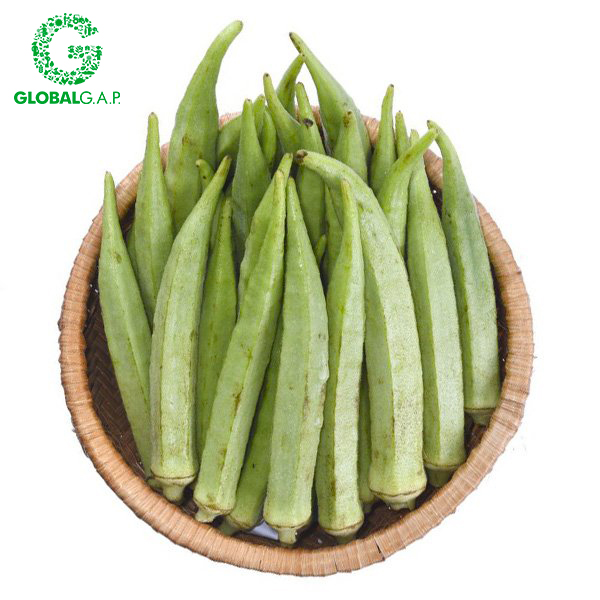 Đậu Bắp DALATGAP 200G