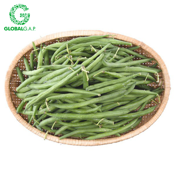 Đậu Cove Non DALATGAP 200G