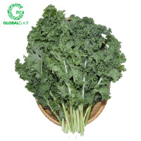 Xà Lách Kale DALATGAP 350G