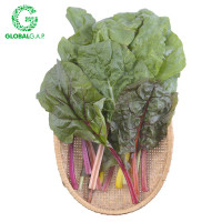 Cải Cầu Vồng DALATGAP 350G