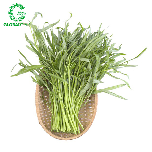 Rau Muống DALATGAP 350G