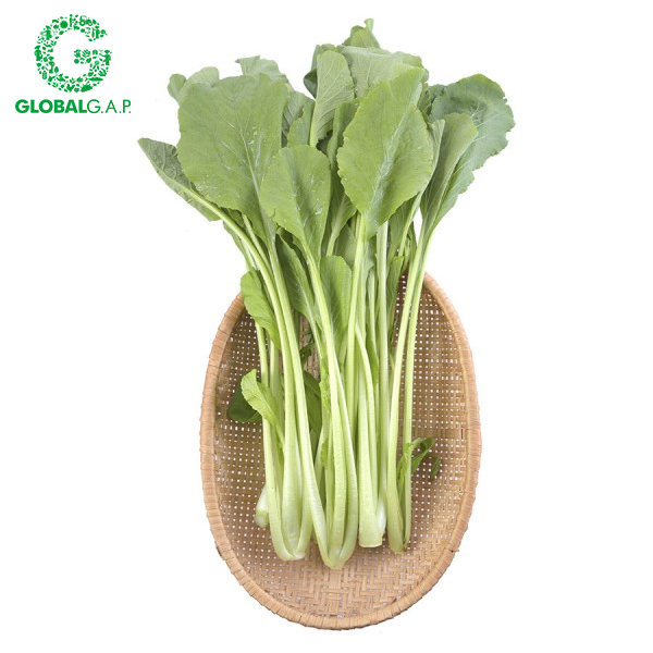 Cải Ngọt DALATGAP 350G