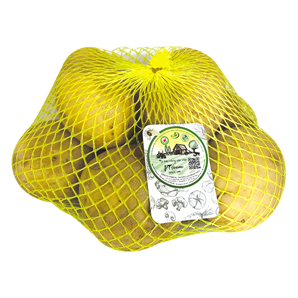 Khoai Tây Vàng PT Farm Túi Lưới 1Kg