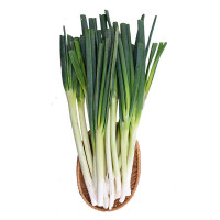 Hành Paro Hasfarm Green+ 250G