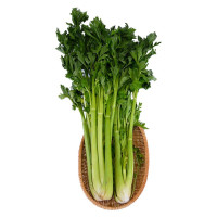 Cần Tây Hasfarm Green+ 600G