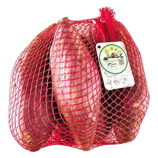 Khoai Lang Giống Nhật PT Farm Túi Lưới 1Kg