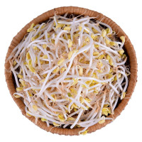 Giá Sống Trường An Gói 200G