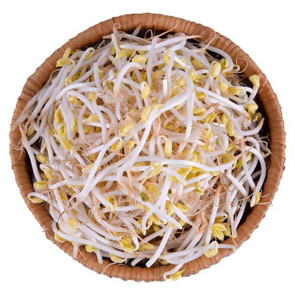 Giá Sống Trường An Gói 200G