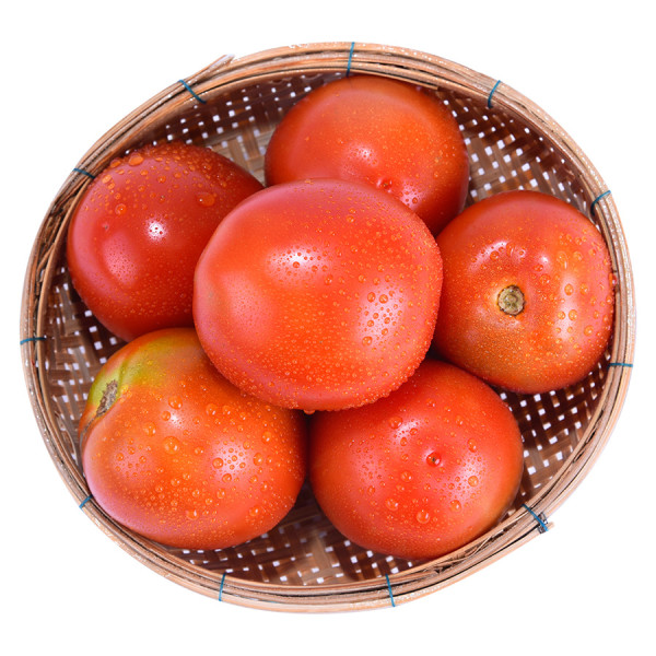 Cà Chua Cao Nguyên Loại 1 Vỉ 500G