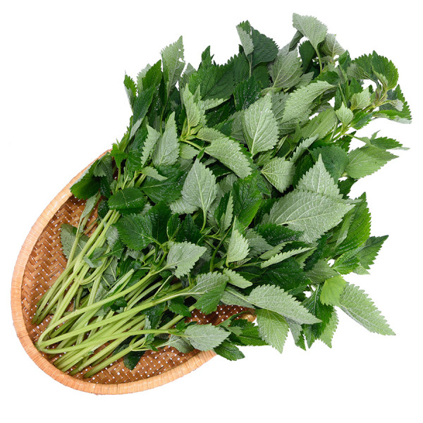 Rau Kinh Giới 100G