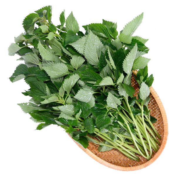 Rau Kinh Giới 100G