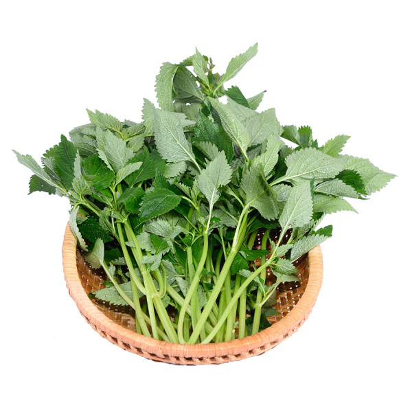 Rau Kinh Giới 100G