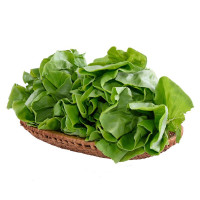 Xà Lách Mỡ Thủy Canh Cao Nguyên 250G