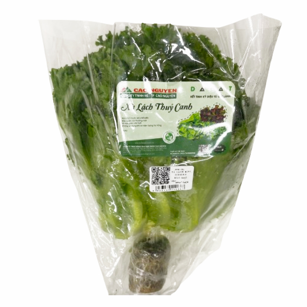 Xà Lách Mini Iceberg Thủy Canh Cao Nguyên 200G