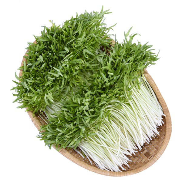 Rau Mầm Rau Muống 200G