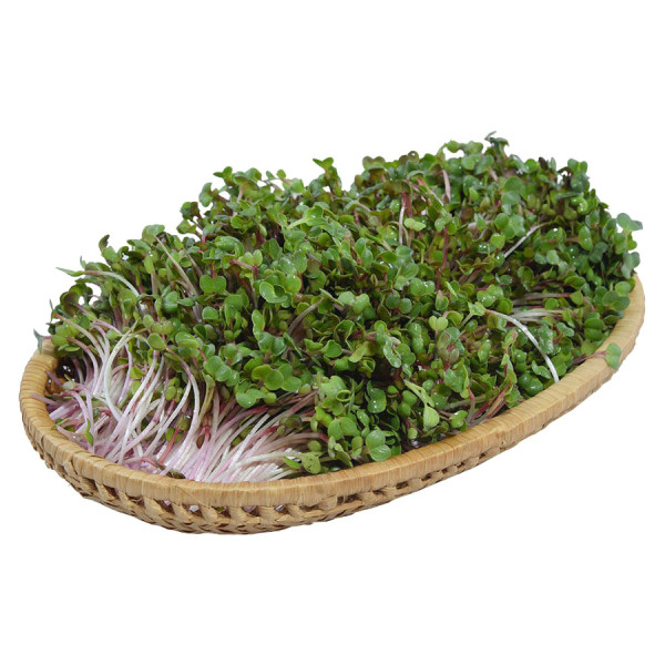 Rau Mầm Cải Đỏ 200G