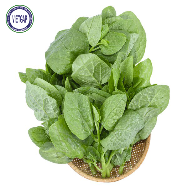 Rau Mồng Tơi Baby 500G