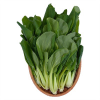 Cải Thìa Baby Vietgap 350G