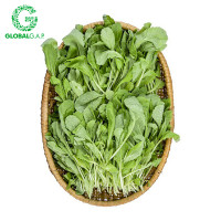 Cải Bẹ Xanh Baby 250G