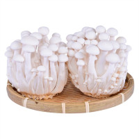 Nấm Linh Chi Trắng Hàn Quốc 150G