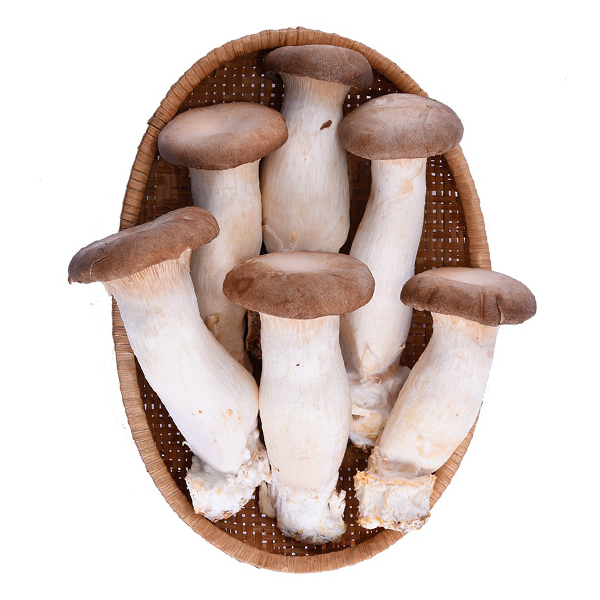 Nấm Đùi Gà Hàn Quốc 300G
